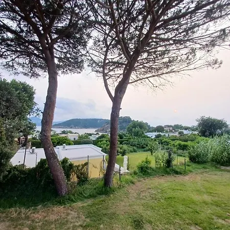 Casa Camilla * Procida